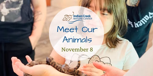Meet Our Animals
