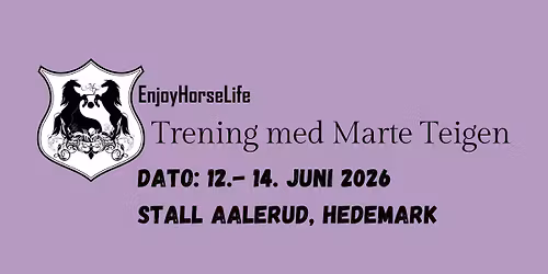 Trening med Marte Teigen, Aalerud Stall, Vang p\u00e5 Hedemark