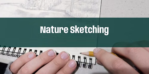 Nature Sketching with a Master Naturalist