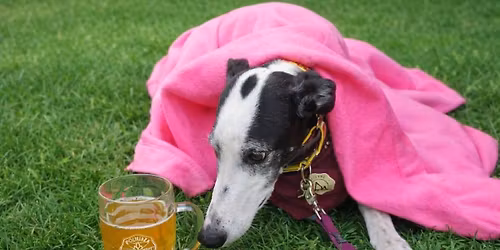  10th Annual Greyhounds in the Park