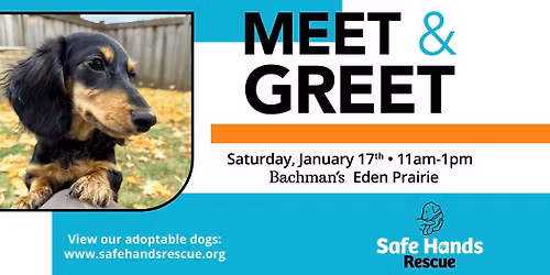 Safe Hands Rescue Meet & Greet at Bachman's (Eden Prairie)