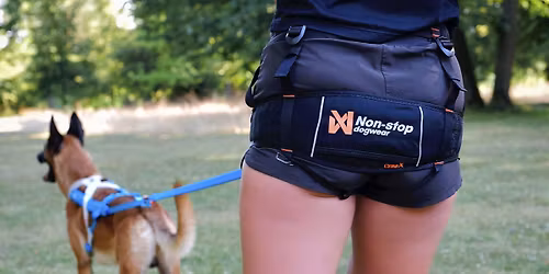 8. ro\u010dn\u00edk St\u011bbo\u0159ick\u00e9 8i\u010dky