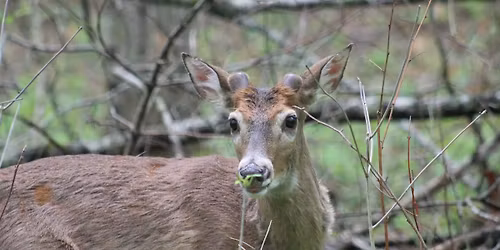 2025-2026 Hunt Dates