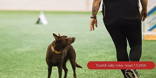 TamSKin rally-tokokilpailu 7.3.2026