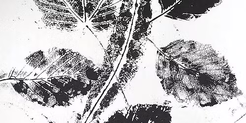 OPEN CALL TO ARTISTS: Open Exhibition \u2013 Nature\u2019s Art