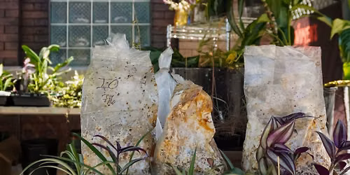 Mercado de Intercambio: Plant Swap \ud83c\udf31