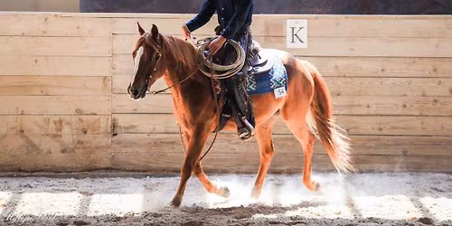 2. tekma za pokal SiQHA 2026