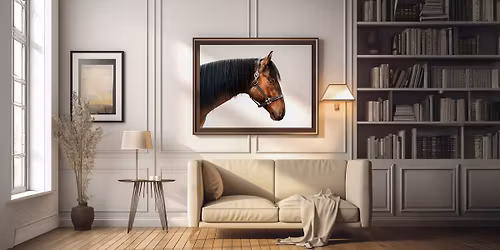 8 Horses Needed for Dramatic Photo Sessions at Amelia Island State Park