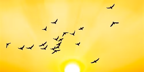 Gott ist Gott - und wer bist du?