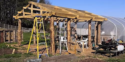 SHED BUILDING SKILLS