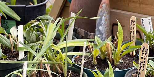 Perennial Plant Exchange 2026