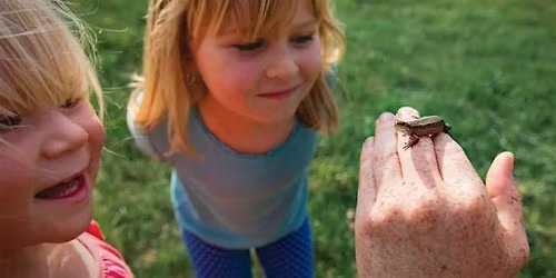 Meet The Bugs World Environment Day