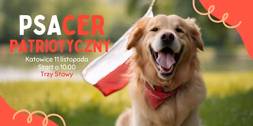 PSAcer Patriotyczny - Katowice