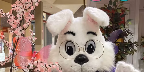 Visits & Photos with The Easter Bunny