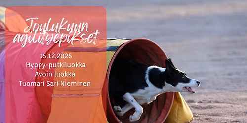 TamSK:in joulukuun agilityepikset 