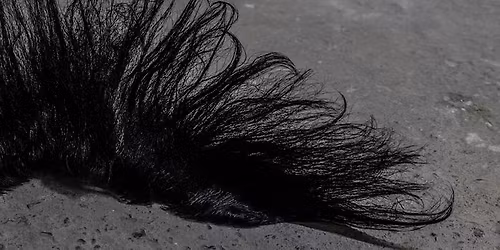 Fernisering * Ditte Kr\u00f8yer x Klara Li Scheutz * Platform