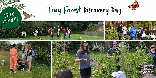 Tiny Forest Discovery Day: New Road Park, Haringey