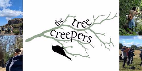 The Treecreepers Birdwatching Group