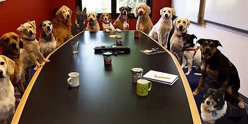 Monthly Membership Meeting