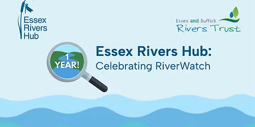 Essex Rivers Hub Annual Event: Celebrating RiverWatch