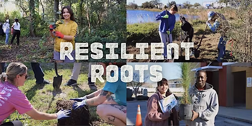 Resilient Roots: Tree Planting at Lake Seminole Park