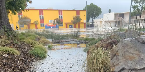 Runoff to Resilience Symposium: Stormwater Harvesting on School Campuses