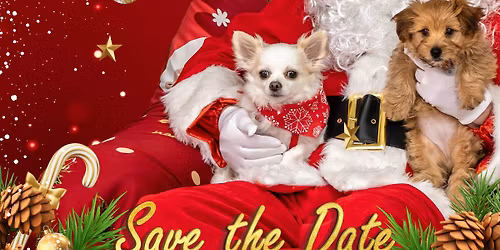 Santa Paws