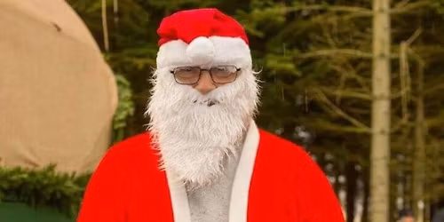 Jul i Dinnsens skovpark