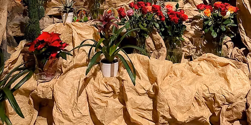 Las Ma\u00f1anitas - Feast of Our Lady of Guadalupe