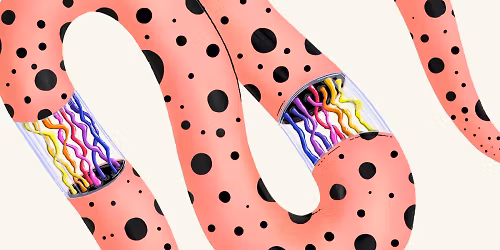 Modest Mouse in Chicago