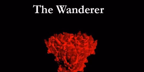 The Wanderer: Curse of the Magi Book Two Release