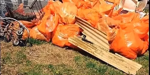 Annual South River Cleanup