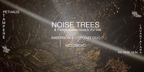 Noise Trees & Feedbackbackback AV live, Imbernon and Ospovat duo & Kotomoko @ Pethaus Tampere
