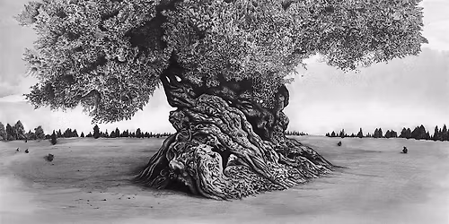 This Sacred Ground: Stories from Soil and Scripture