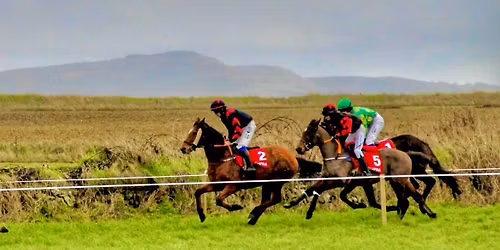 Ballyheigue Races 2025