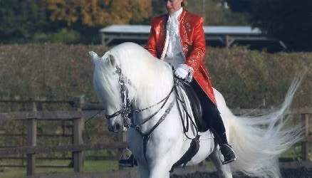 Semi-Private In-hand Dressage with the Thurman-Bakers & Self-organised hack around Turville Valley