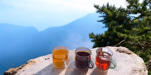 Taste the legendary flavors of Pu’erh tea