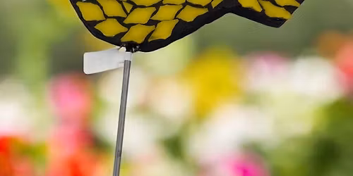 Decorative Mosaic Spike Workshop