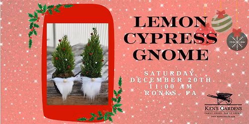Lemon Cypress Gnome (Intercourse)