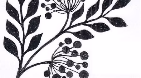 Lapworth Elderberries