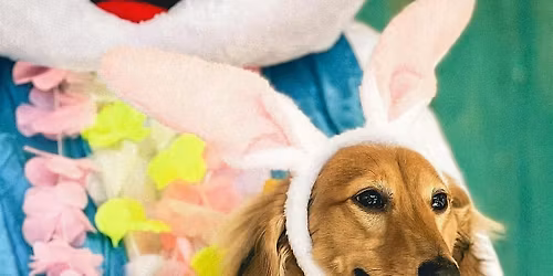 Palm House's Annual Peep & Pups Doggy Brunch