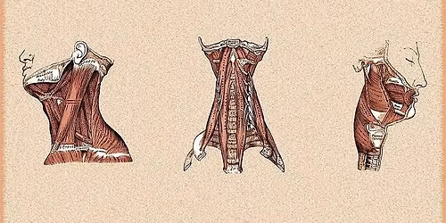 TechDoctor+\/ You're an innovative entrepreneur in healthcare