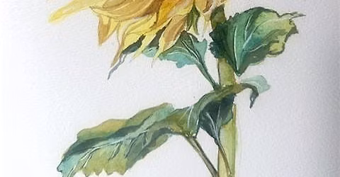 Watercolor Workshop: Sunflowers