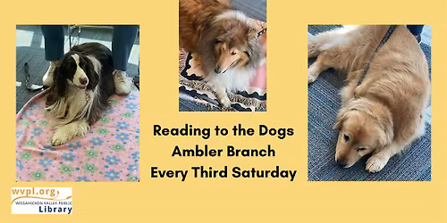 Reading to the Dogs at Ambler Library