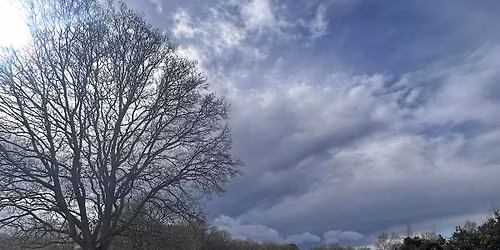 Season of mist and mellow Winchester hike and Christmas market - 18km