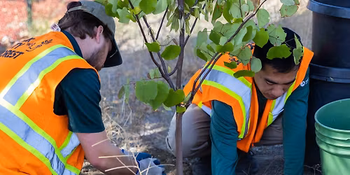 Orchard Park Community Planting with Our City Forest