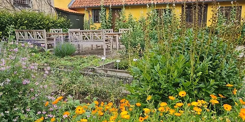 Fort\u00e6llinger om Sor\u00f8 - Bursers Apotekerhave \ud83c\udf3f\ud83c\udf38