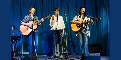 The Cartwheel Pennies at Elm Farm Music