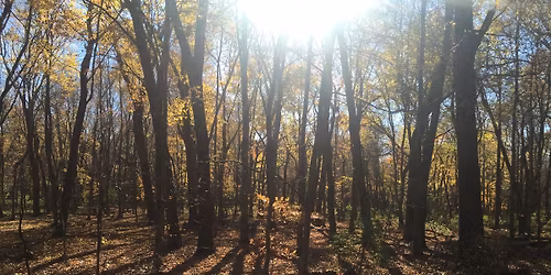 Fall Foliage Photography Hike