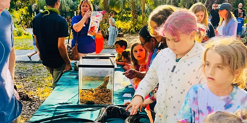 Wild Encounters: Hands-On Fun with Animals and Nature Creations